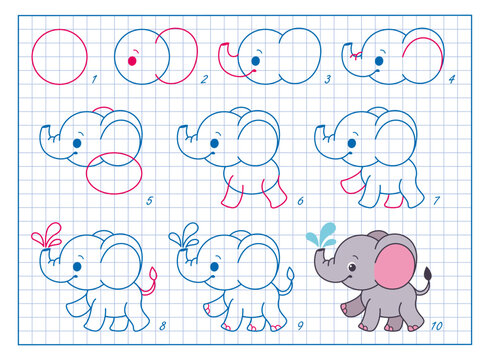 How to Draw Elephant, Step by Step Lesson for Kids cartoon vector illustration
