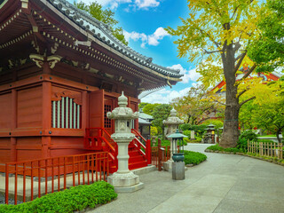 Tokyo architecture. Autumn in Japan. Buddhist temple. Asakusa on sunny day. Sensoji district. Traveling around Tokyo. Japan style architecture. Walking place in Tokyo. Guide to Japan. Sensoji park