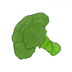 fruits and vegetables