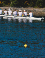 Group of rowing team athletes sculling during competition, kayak boats race in a rowing canal,...