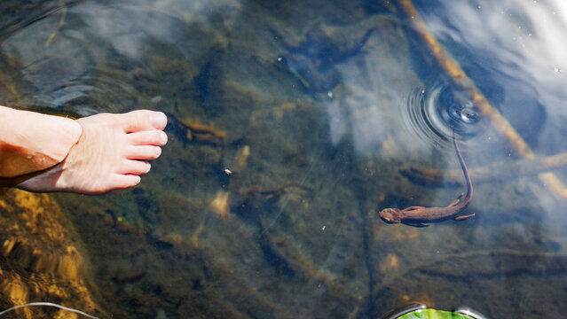 Dipping my foot in, with Newt