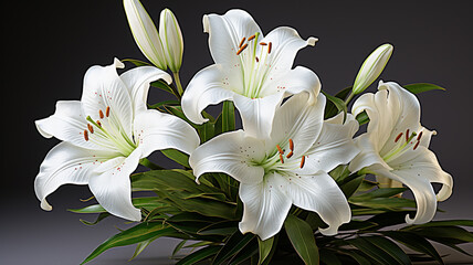 Obraz premium white lilies and lilies in the white vase.