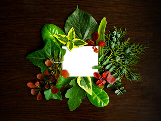 Creative summer layout made of white note paper and colorful tropical leaves against dark wooden background. Nature concept. Flat lay. Summer mock up. Copy space. Tropical vibes.