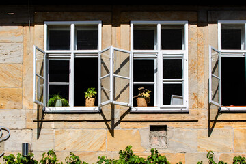 Fototapeta na wymiar Weiße Sprossenfenster aus Holz in einer historischen Fassade aus Sandstein mit Blumen und Wein bewachsen.