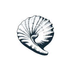 Seashell and Marine Shell Engraved Monochrome Vector Illustration