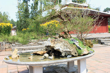 temple garden with bonsai in Vietnam