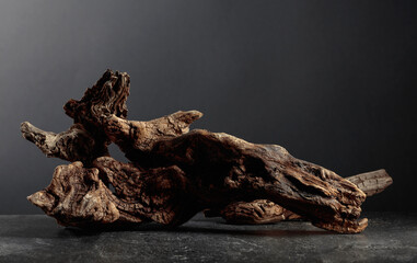 Old dry wooden snag on a black stone table.