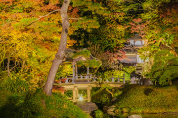 日本庭園の秋の夜