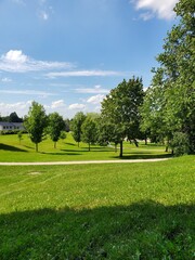 Obraz premium park in the city