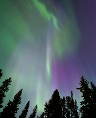 Northern lights overhead. Aurora Borealis