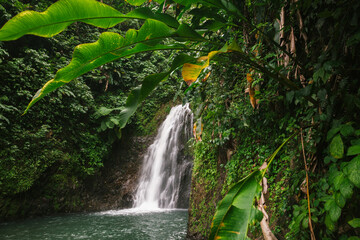 Stunning view of a Seven Sisters Waterfalls with lush vegetation in the Grand Etang National Park;...