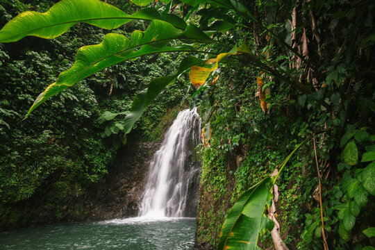 Stunning view of a Seven Sisters Waterfalls with lush vegetation in the Grand Etang National Park; Grand Etang National Park & Forest Reserve, Grenada, Caribbean