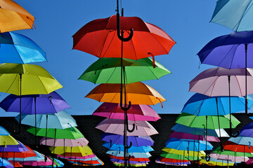 Little parasols all in a row 