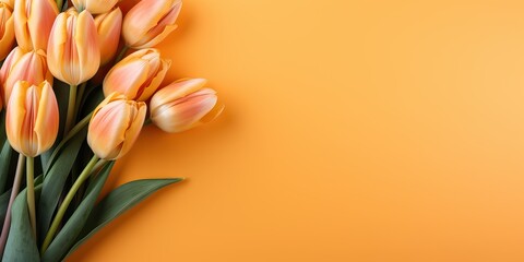 orange  tulips flowers isolated  on orange background. Top view with space for text..