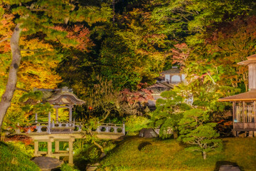 日本庭園の秋の夜