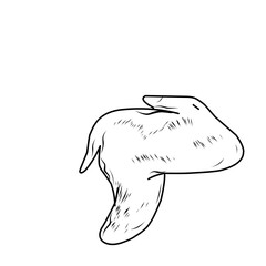 Hand Drawn Chicken Wing Food 