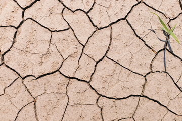 Dry, cracked earth. Drought. Lack of water for irrigation. Agricultural industry.The ground was cracks in the top view for the background or graphic design with the concept of drought .