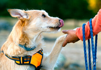 A precious pet is looking forward to receiving its treat.
