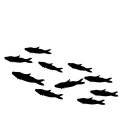 School Fish Silhouette 