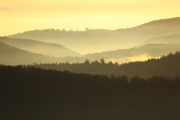 Herbstwald im Sonnenaufgang auf der Wegelenburg