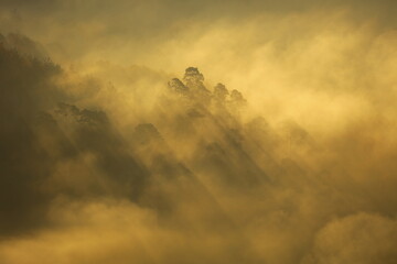 Herbstwald im Sonnenaufgang auf der Wegelenburg