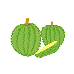 Durian fruit 