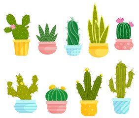 Set of cacti, succulents in flower pots.Vector graphics.