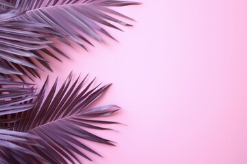 Pink violet neon background with palm leaves and soft shadow. Empty wall with copy space minimal summer layout