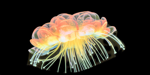 A colorful jellyfish - Generative AI