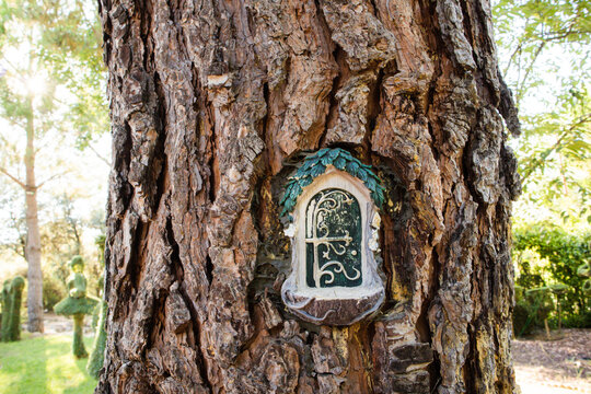 An antique green wooden door in a tree trunk in summer fall woods. A cabin on the edge of a forest. Woodland real estate in summertime light. Magic fantasy world with miniature doors on the trees.