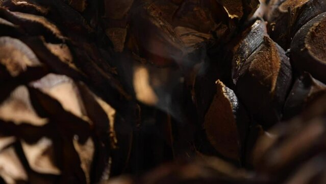 Agave Pi&ntilde;as Cooking Inside the Oven