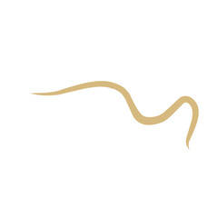 Intestinal Parasitic  Worm 