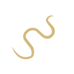 Intestinal Parasitic  Worm 