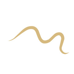 Obraz premium Intestinal Parasitic Worm 