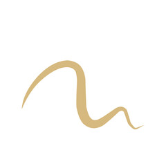 Intestinal Parasitic  Worm 