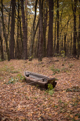 Old boat in the autumn forest