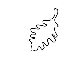 Leaf Outline 