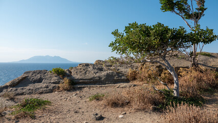 View of Yıldızkoy coastline and Semadirek island from Kalekoy hill in Gokceada, volcanic mountains and a wild trees in the foreground. Canakkale, Turkey. Imbros island.