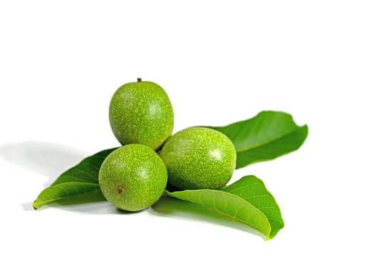 Gr&uuml;ne Waln&uuml;sse, Juglans regia, vor wei&szlig;em Hintergrund