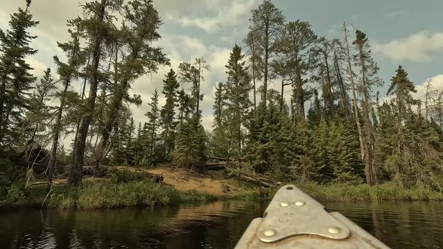canoe pulling in from a lake and docking on a forest island