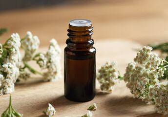 A brown bottle of yarrow essential oil