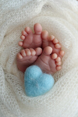 Legs, toes, feet and heels of newborn twins. Wrapped in a white knitted blanket. Studio Macro...