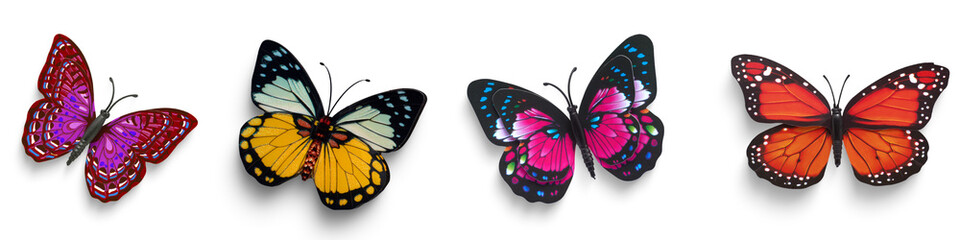 transparent butterfly collection