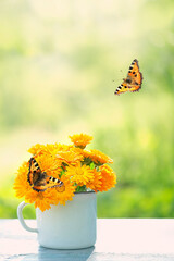 calendula flowers bouquet in cup and butterflies in garden, natural green background. rustic summer...