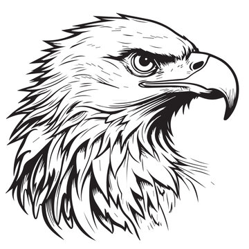 Eagle in cartoon, doodle style. 2d illustration in logo, icon style. Black and white
