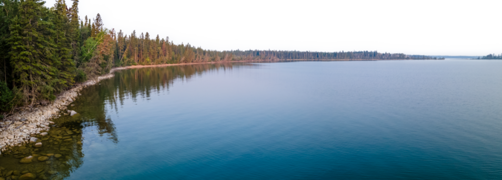 View along the tree covered shore of a large blue colored calm lake with a transparent sky
