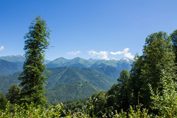 Beautiful panoramic landscape - peaks of high mountains between green trees and blue sky with white...