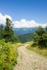 Fototapeta premium Beautiful panoramic landscape - peaks of high mountains between green trees and blue sky with white clouds on Krasnaya Polyana in Krasnodar krai Russia