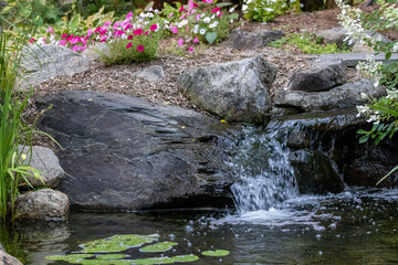 Landscape architecture featuring waterfalls and perennials for backyard oasis