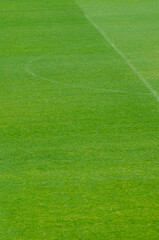 Obraz premium detail of a soccer field with unmarked lines